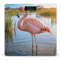 Elegant Flamingo with National Flag Weight ScaleClear LED Display Bathroom Digital Weighing ScaleTempered Glass Digital Bathroom Scale for Body Weight Capacity Up to 400 Lbs