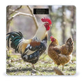Rooster and Hen Bathroom Scale for Body Weight with High Precision Large LCD Backlight Display Digital Weighing Scale with BMI Capacity Up to 180kg