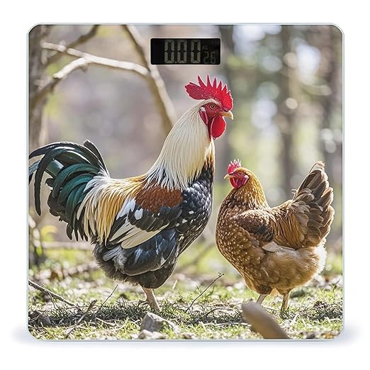 Rooster and Hen Bathroom Scale for Body Weight with High Precision Large LCD Backlight Display Digital Weighing Scale with BMI Capacity Up to 180kg