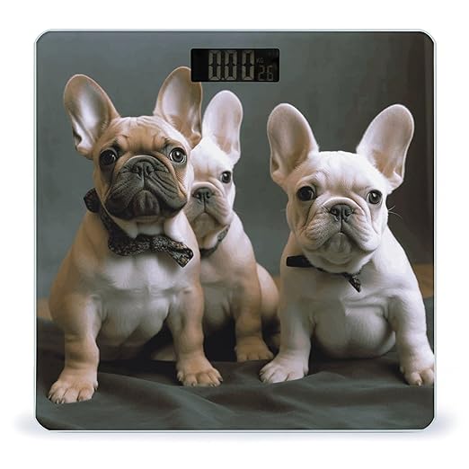 French Bulldog Puppies Scale for Body Weight High Precision Digital Weight Scales with LCD Display Anti-Slip Sturdy Slim Tempered Glass Bathroom Scale for Home Use