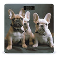 French Bulldog Puppies Scale for Body Weight High Precision Digital Weight Scales with LCD Display Anti-Slip Sturdy Slim Tempered Glass Bathroom Scale for Home Use