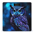 Blue Owl Digital Bathroom Scale for Body Weight with High Precision Digital Weighing Scale with BMI Clear LCD Display and Step-On Measures Weight Up to 180kg