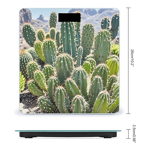 Green Cactus Scale for Body Weight Smart Scales Digital Bathroom Scale High Precision Weighing Scales with Large Display Weighing Machine for People