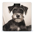 Cute Schnauzer Bathroom Scale for Body Weight Bathroom Digital Electronic Weighing Scale with Back Lit LED Display Sturdy Tempered Glass Weight Watchers Scales 400lb