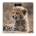 Baby Cheetah Bathroom Scale Large LCD Backlight Display Digital Scale Rounded Corners Body Scales Automatic Power On/Off Bathroom Scales for Home Bedrooms
