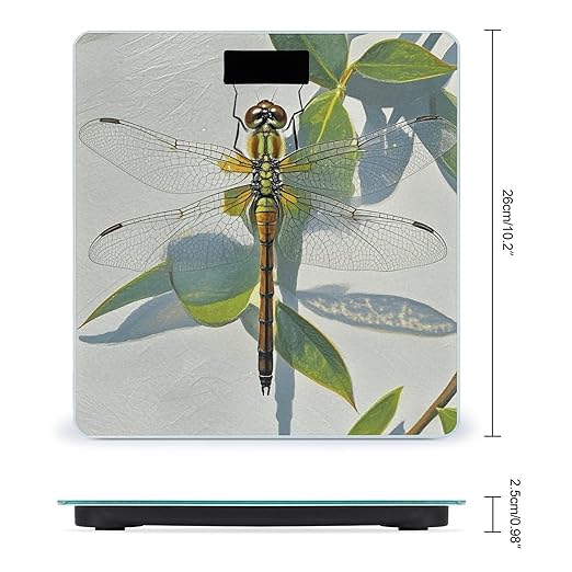 Hand Painted Dragonfly Scale for Body Weight Digital Bathroom Scale Toughened Glass High Precision Scales for Body Weight with Large LCD Backlight Display Weight Scales