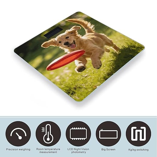 Interesting Puppy Weight ScaleClear LED Display Bathroom Digital Weighing ScaleTempered Glass Digital Bathroom Scale for Body Weight Capacity Up to 400 Lbs