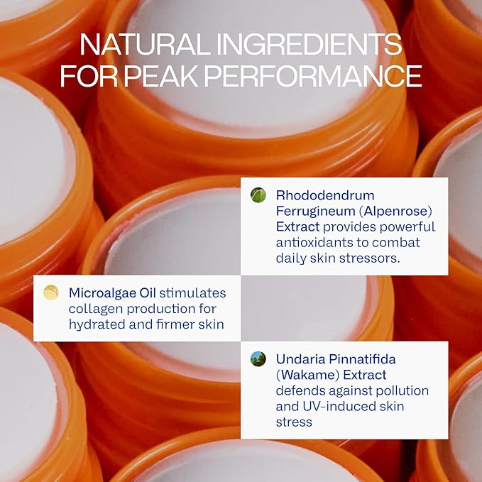 Peak Performance Sun Stick SPF 50 | 100% Mineral Sunscreen | Lightweight 40-Min Water-Resistant | Plant-Based Eco-Friendly Reef-Safe Cruelty-Free | All Skin Types | 0.70 oz | Pack of 2