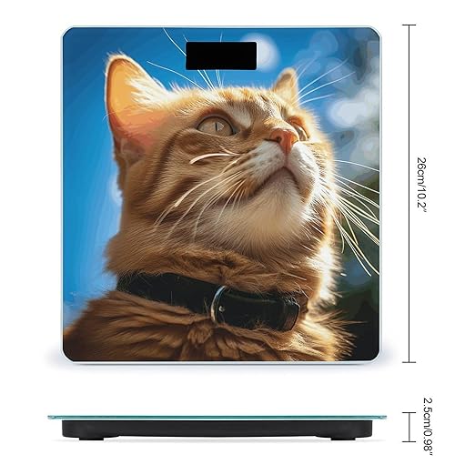 Cat in The Sun Scale for Body Weight Precision Bathroom Weighing Scales with Back Lit LCD Display Sturdy Tempered Glass Body Weight Scales Digital Bathroom Scale 400lb