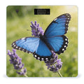 Butterfly Blue Smart Scale for Body Weight Digital Bathroom Scale Toughened Glass Weight Scale with Large LCD Backlight Display High Precision Scales Weighing Machine