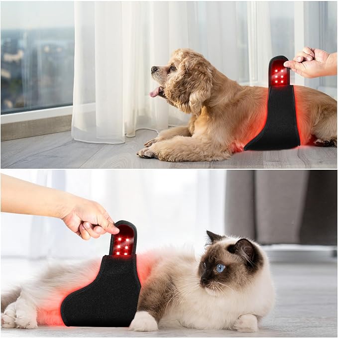Red Light Therapy for Dog Belly and Ass Portable and Wearable for Small Animals Tissue Repair Relieve Joint &amp Back Pain Dogs Cats Pets Injuries Recovery
