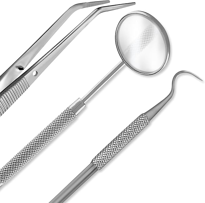 Student Professional Training Dental Hygiene Kit Stainless Steel Tools Set Plaque Removal Instruments (10)
