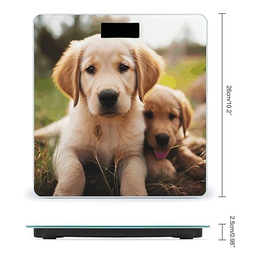 Cute Golden Retriever Puppy Bathroom Scale for Body Weight Bathroom Digital Electronic Weighing Scale with Back Lit LED Display Sturdy Tempered Glass Weight Watchers Scales 400lb