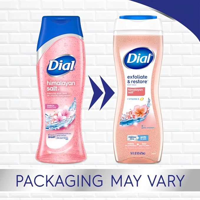 Dial Body Wash Himalayan Salt 16 Ounce Enriching (473ml) (Pack of 6)