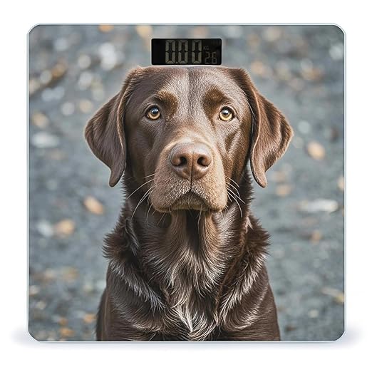 Brown Labrador Retriever Scale for Body Weight Accurate Digital Bathroom Scale Toughened Glass High Precision Scales Smart Weight Scales with Large LCD Backlight Display Weighing Machine