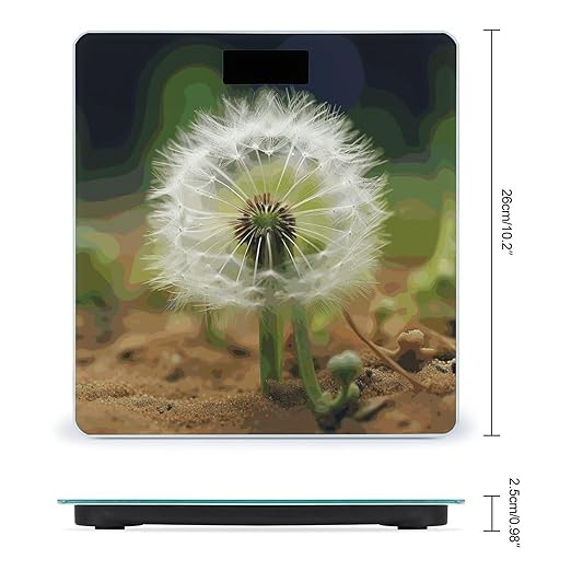 Sand Dandelion Scale for Body Weight Anti-Slip Digital Bathroom Scale Sturdy Toughened Glass Weighing Scales High Precision Safe Rounded Corners Smart Scales