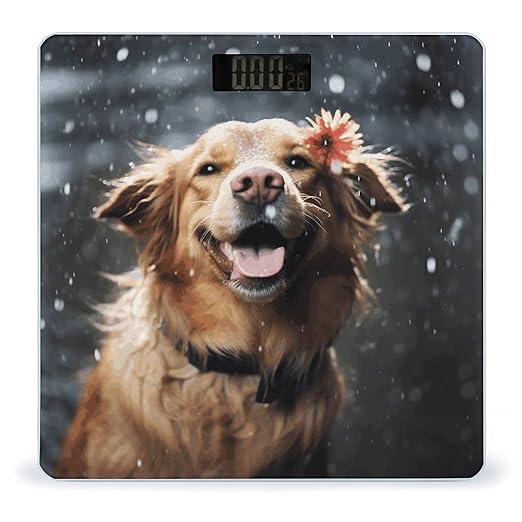 Happy Dog in Rain Scale for Body Weight Smart Scales Digital Bathroom Scale High Precision Weighing Scales with Large Display Weighing Machine for People
