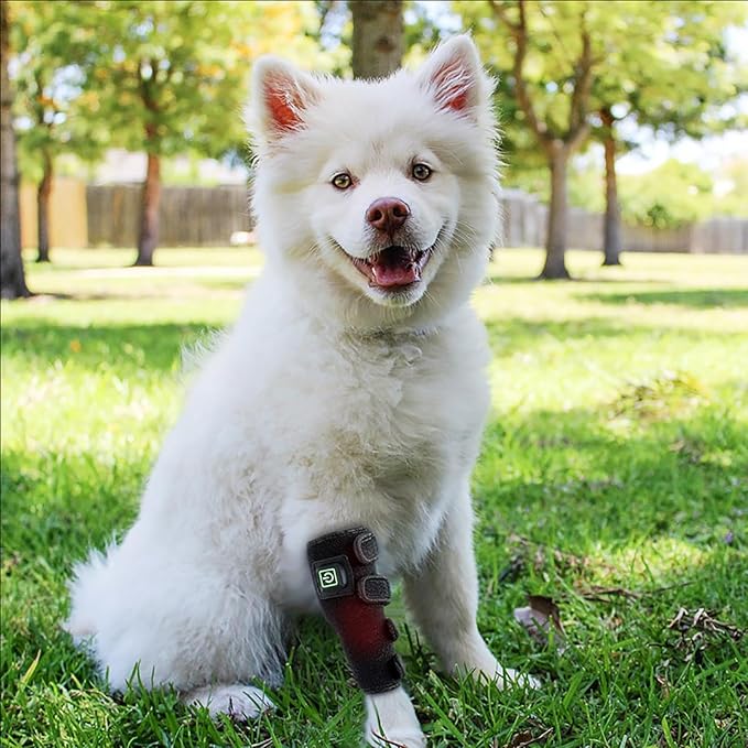 Red Light Therapy for Dogs Leg Wearable Infrared Light Therapy Devices Wireless Design 15-Minute Timer Auto Shutoff for Dogs and Cats Pet Legs Care