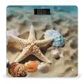 Starfish Coral and Seashell Scale for Body Weight Anti-Slip Digital Bathroom Scale Sturdy Toughened Glass Weighing Scales High Precision Safe Rounded Corners Smart Scales