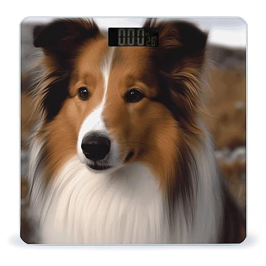 Shetland Sheepdog Bathroom Scale Large LCD Backlight Display Digital Scale Rounded Corners Body Scales Automatic Power On/Off Bathroom Scales for Home Bedrooms