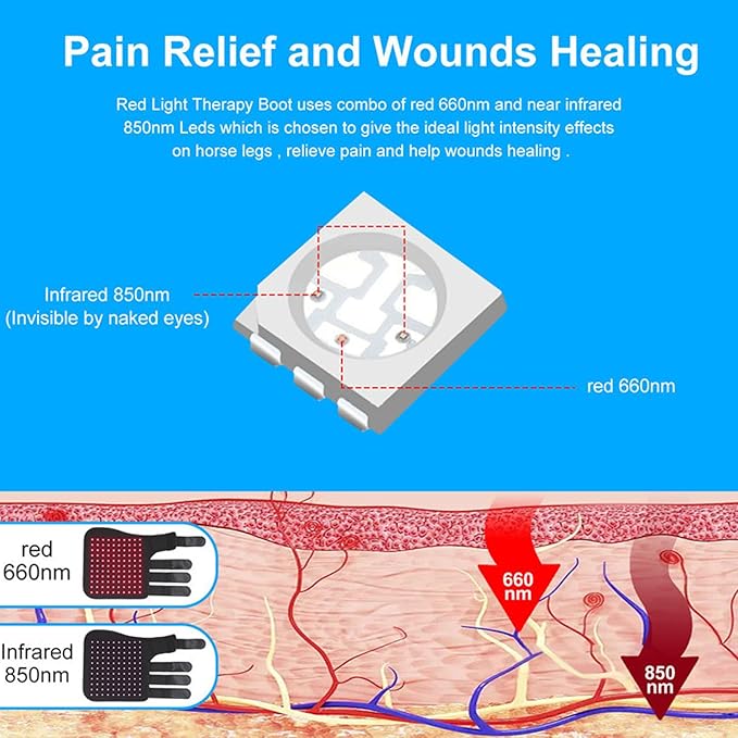 Red Light Therapy for Horses Red Light Horse Leg Therapeutic Instrument 850nm Infrared ＆ 660nm Pet Horse Leg Physiotherapy