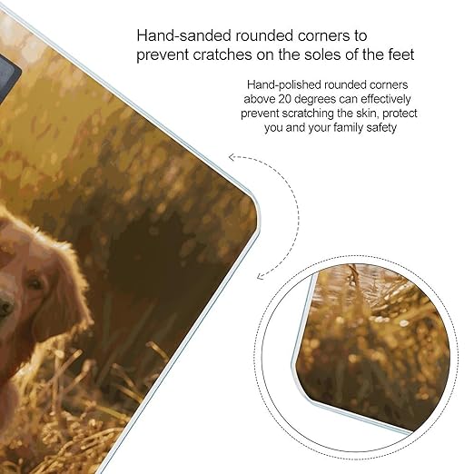 Two Golden Retrievers Scale for Body Weight Anti-Slip Sturdy Tempered Glass Weighing Machine Highly Digital Accurate Bright LCD Bathroom Scale for Household Gift