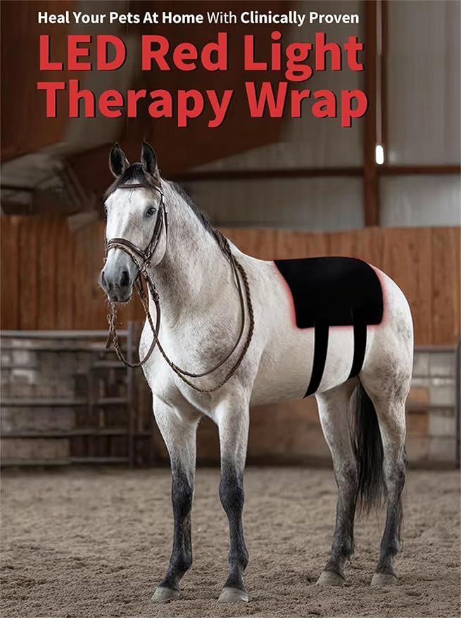 Horseback Red Light Therapy Device 660nm/850nm Adjustable Red Light Therapy Mat Near Infrared Light Device Relaxes Muscles and Promotes Healing