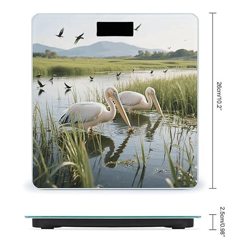 2 Pelicans Weight Scale Large Digital Bathroom Scales with Bright LED Display Non Slip Digital Scale and Step On Fashion Weighing Machine for Body