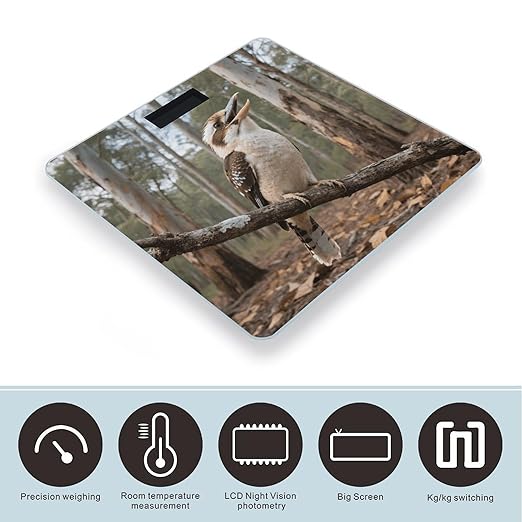 Gray Bird Bathroom Scale for Body Weight LCD Display Digital Bathroom Scale Tempered Glass Bathroom Weight Scales Fashion Smart Scales for Home Bedroom 400 Lb