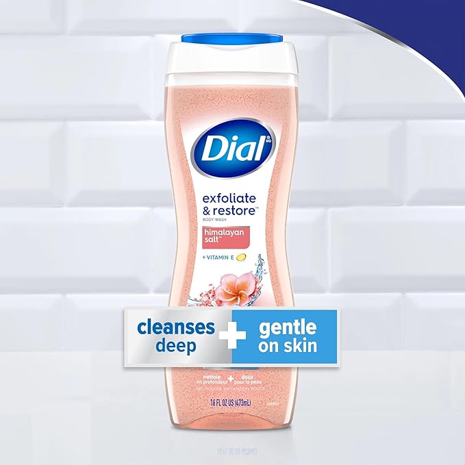 Dial Enriching Body Wash Himalayan Salt 16 oz (Pack of 4)