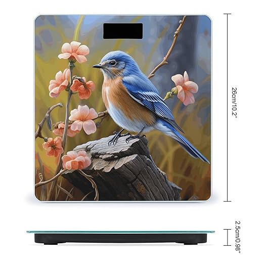 Eastern Bluebird Weight Scale Large Bathroom Scales Digital Weight with Bright LED Display Non Slip Automatic Weighing Scale Fashion Weighing Machine for Body