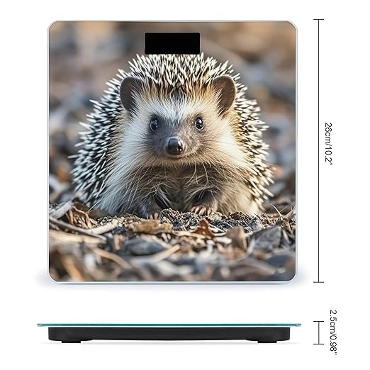 Hedgehog Bathroom Scale Automatic Power On/Off Body Scales LCD Backlight Display Square Digital Scale Rounded Corners Bathroom Scales for Home Bedrooms