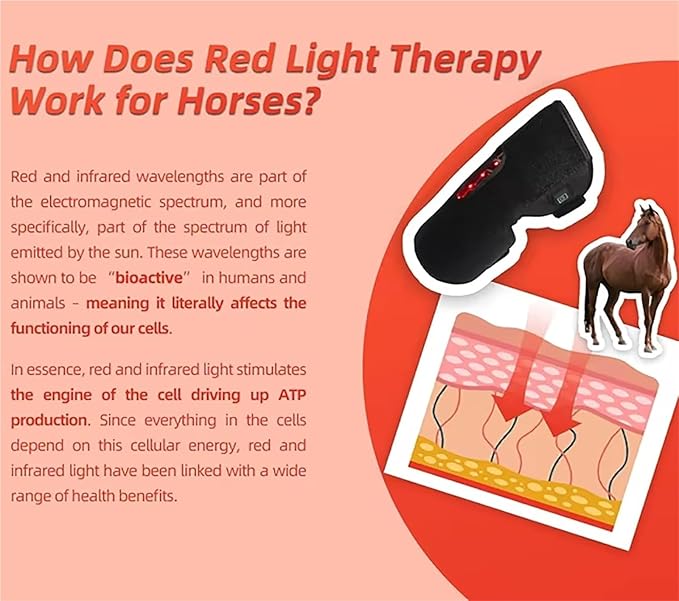 Red Light Therapy for Horses LED Red Light Therapy Device 660nm/850nm Adjustable Mode Red Light Therapy Mat for Horse Wounds and Joint Pain Relief.(4PCS)