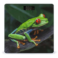 Red Eyed Tree Frog Bathroom Scale Automatic Power On/Off Body Scales LCD Backlight Display Square Digital Scale Rounded Corners Bathroom Scales for Home Bedrooms