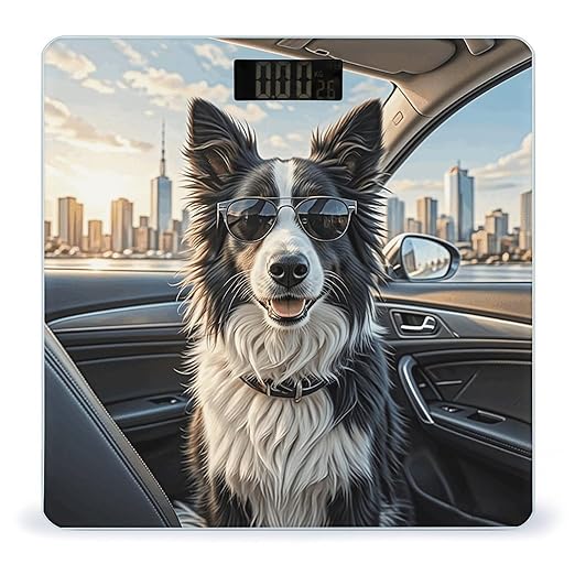 Border Collie Dog Bathroom Scale for Body Weight LCD Display Digital Bathroom Scale Tempered Glass Bathroom Weight Scales Fashion Smart Scales for Home Bedroom 400 Lb