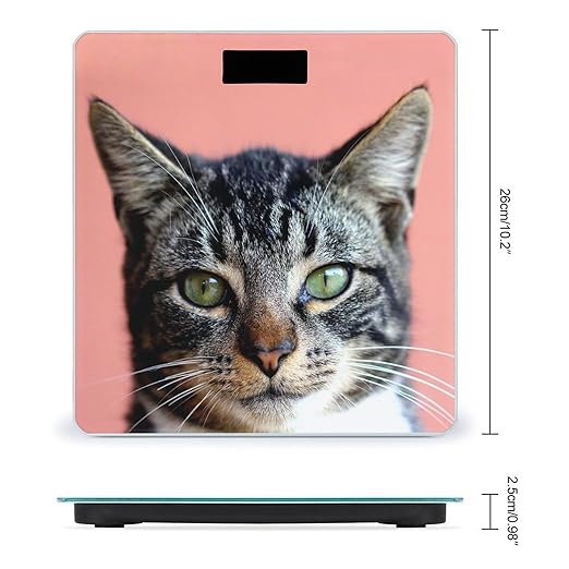 Cute Cat with Green Eyes Digital Bathroom Scale for Body Weight Lighted LCD Display Round Corner