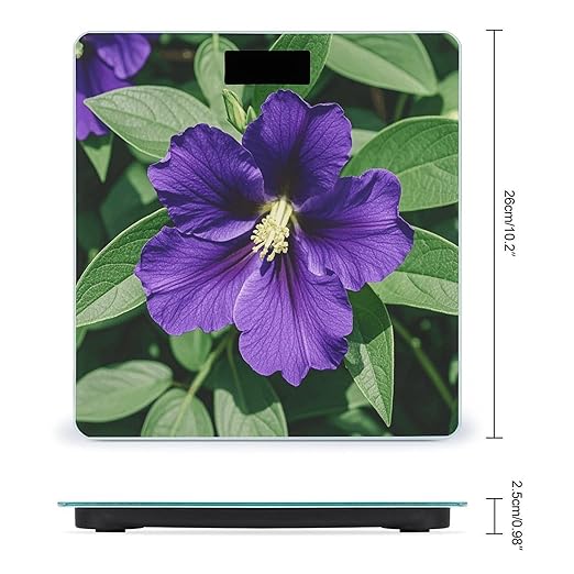 Purple Flowers Digital Bathroom Scale for Body Weight Weighing Scale with Backlit LCD Display High Precision Measurements &amp Measures Weight Up to 180kg