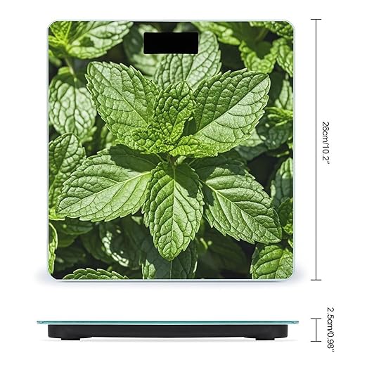 Peppermint Scale for Body Weight Smart Scales Digital Bathroom Scale High Precision Weighing Scales with Large Display Weighing Machine for People