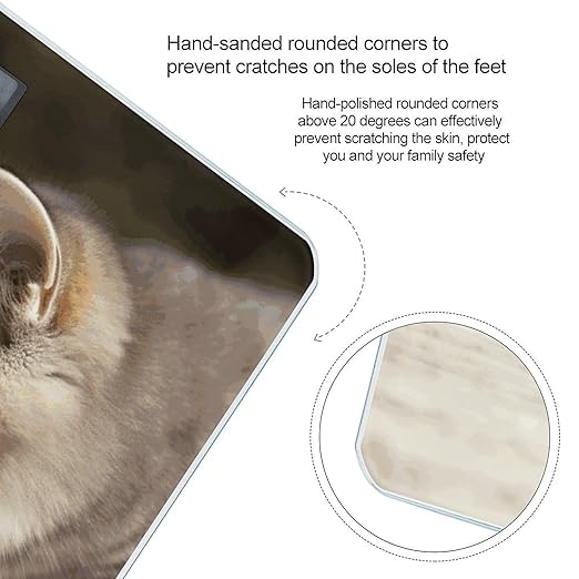Cat and Butterfly Bathroom Scale for Body Weight Bathroom Weighing Scale with Backlit LCD Display Highly Accurate Measures Weight Up to 180kg