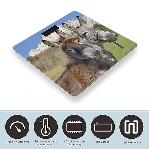 Funny Donkeys Scale for Body Weight Anti-Slip Sturdy Tempered Glass Weighing Machine Highly Digital Accurate Bright LCD Bathroom Scale for Household Gift