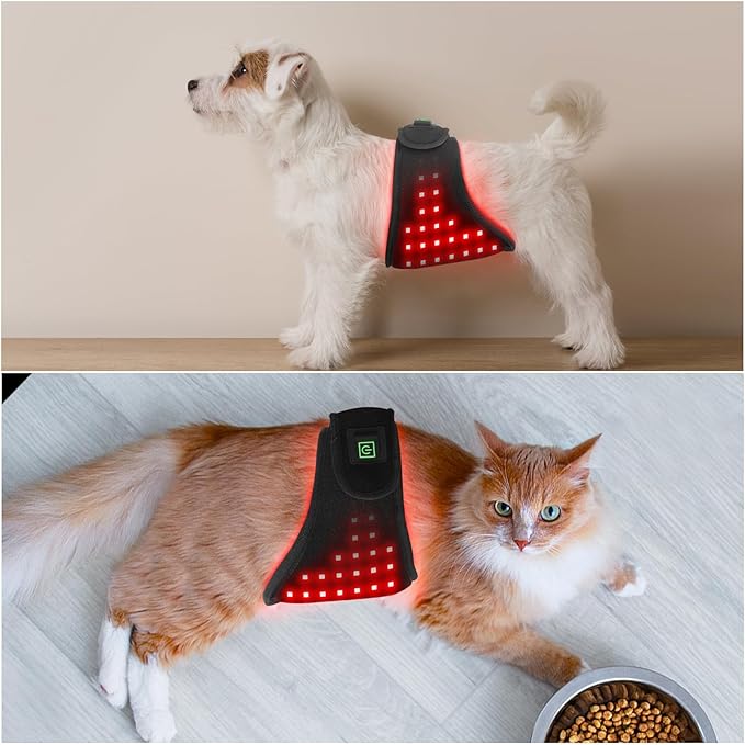 Red Light Therapy for Dog Belly and Ass Portable and Wearable for Small Animals Tissue Repair Relieve Joint &amp Back Pain Dogs Cats Pets Injuries Recovery