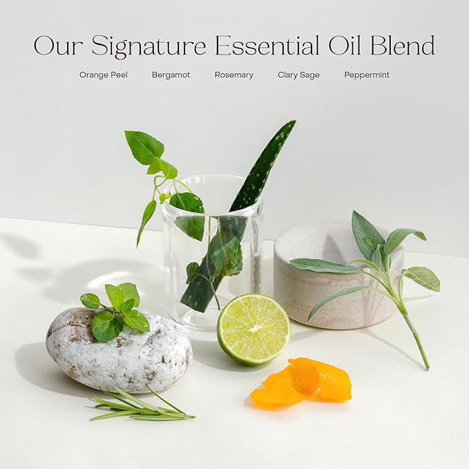 Everist The Hydrating Body Duo The Body Wash Concentrate Tube 50+ Washes Bundled With The Compostable Konjac Sponge