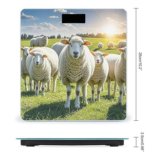 Sheeps Scale for Body Weight Smart Scales Digital Bathroom Scale High Precision Weighing Scales with Large Display Weighing Machine for People