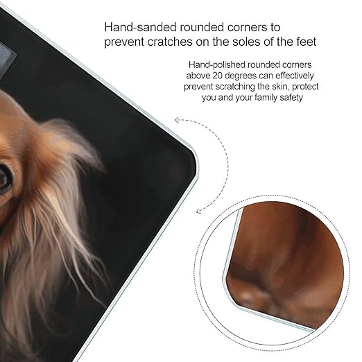 Long Haired DachshundScale for Body Weight with LCD High Precision Weighing Scales Fashion Sturdy Tempered Glass Weight Scales Easy-to-Read Digital Bathroom Scale for Daily 400lb