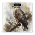 Watercolor of Hawk Sitting in The Tree Bathroom Scale for Body Weight Bathroom Digital Electronic Weighing Scale with Back Lit LED Display Sturdy Tempered Glass Weight Watchers Scales 400lb
