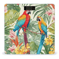 Tropical Plants and Parrots Bathroom Scale Large LCD Backlight Display Digital Scale Rounded Corners Body Scales Automatic Power On/Off Bathroom Scales for Home Bedrooms
