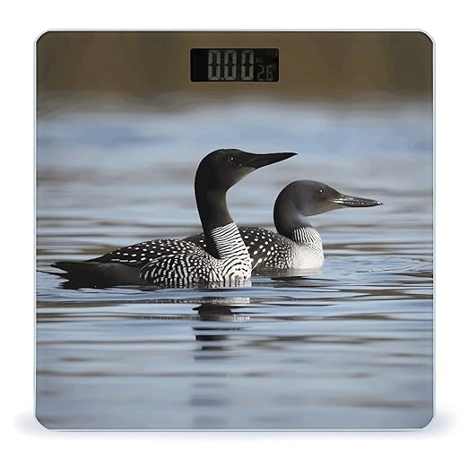 Loon BirdsScale for Body Weight with LCD High Precision Weighing Scales Fashion Sturdy Tempered Glass Weight Scales Easy-to-Read Digital Bathroom Scale for Daily 400lb