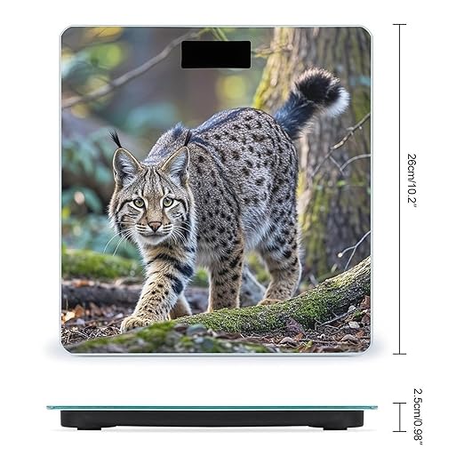 Wild Bobcat Bathroom Scale for Body Weight with High Precision Large LCD Backlight Display Digital Weighing Scale with BMI Capacity Up to 180kg