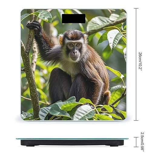 Monkey Scale for Body Weight Highly Accurate Digital Bathroom Body Scale Digital Bathroom Scales for People Anti-Slip Large LCD Display Smart Scales