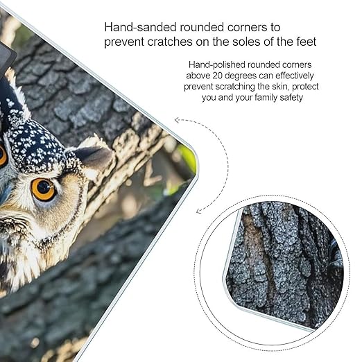 Wild Owl Birds Scale for Body Weight Digital Bathroom Scale Toughened Glass High Precision Scales for Body Weight with Large LCD Backlight Display Weight Scales